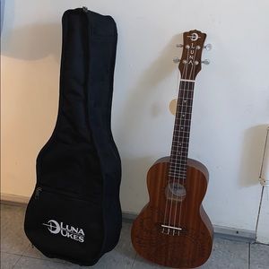 Small Guitar With case
